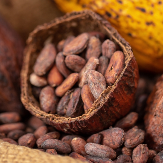 IMMAGINE Cacao